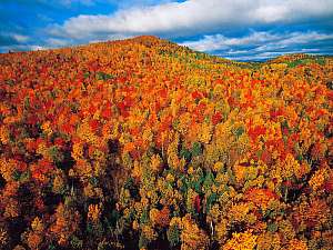Canada - Quebec - Région de Charlevoix